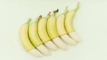 吃瓜不吃香蕉,揭秘“吃瓜不吃香蕉”背后的趣味生活哲学