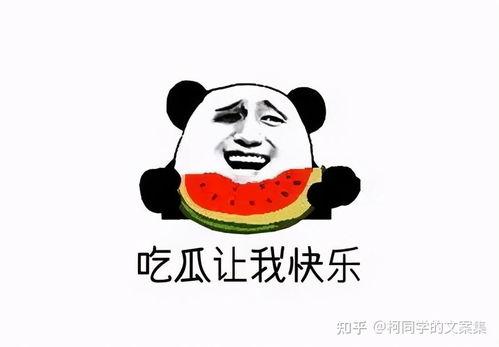 不要吃瓜吃,拥抱真实生活——拒绝吃瓜，追求内心成长