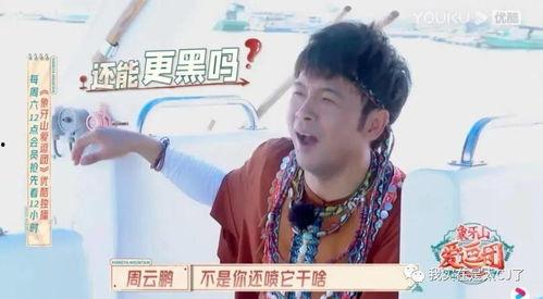 山东吃瓜宝哥