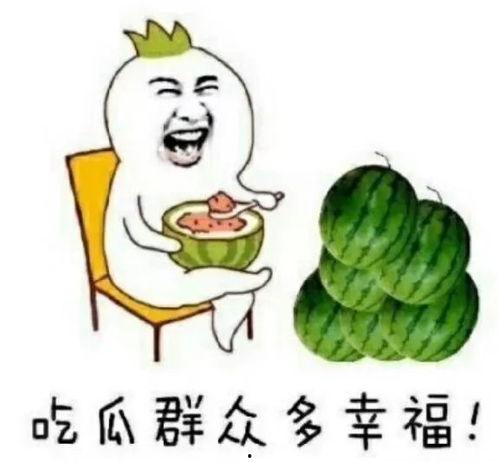 吃瓜圈最新